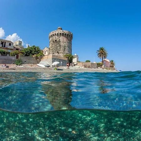 Agreable Studio Debut Cap Corse Proche Bastia San-Martino-di-Lota المظهر الخارجي الصورة