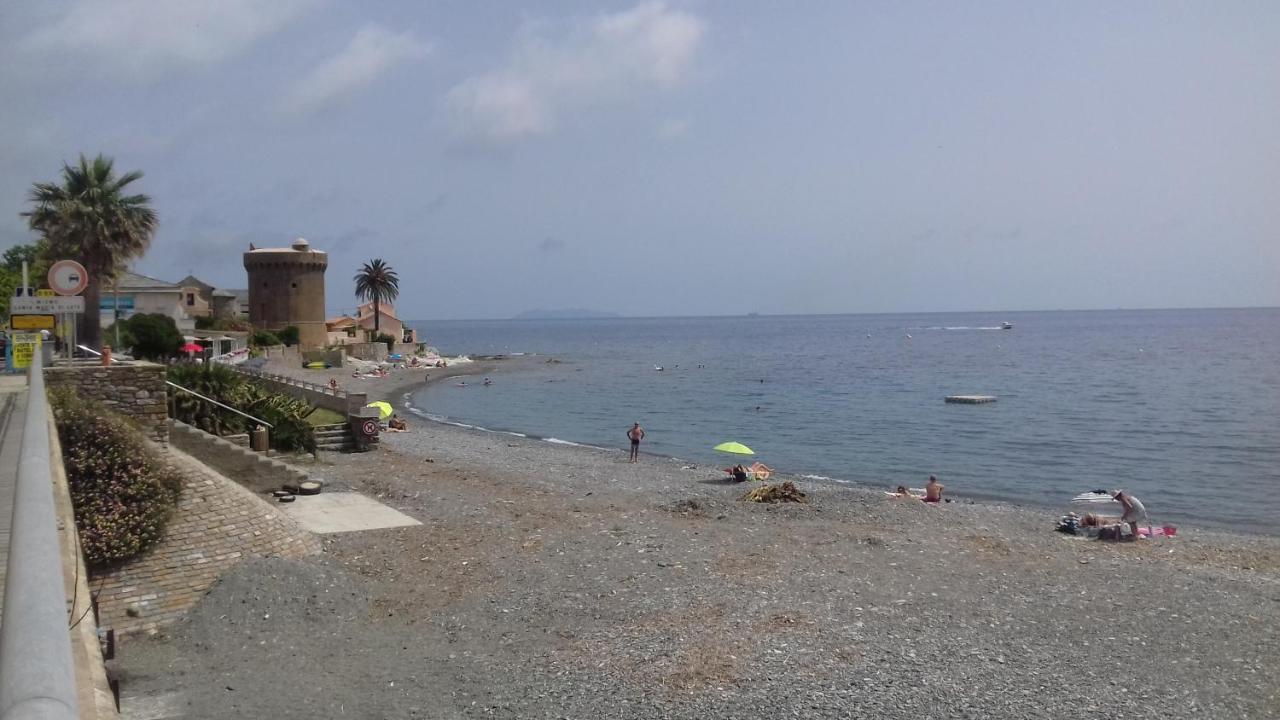 Agreable Studio Debut Cap Corse Proche Bastia San-Martino-di-Lota المظهر الخارجي الصورة